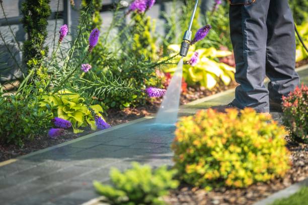 Best Fence Cleaning  in Grove City, OH
